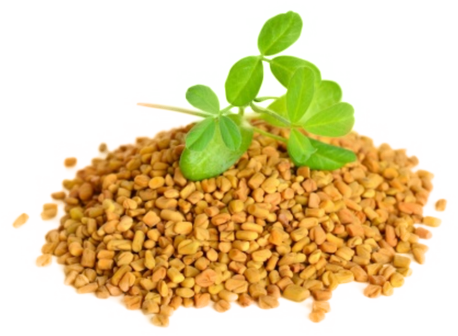 Fenugreek Seeds