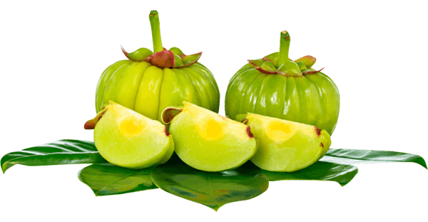 Garcinia Cambogia With 60 % HCA