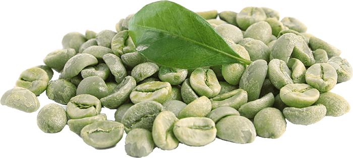 Green Coffee Extract